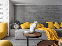 純干貨！家里有寵物的十個(gè)裝飾小建議